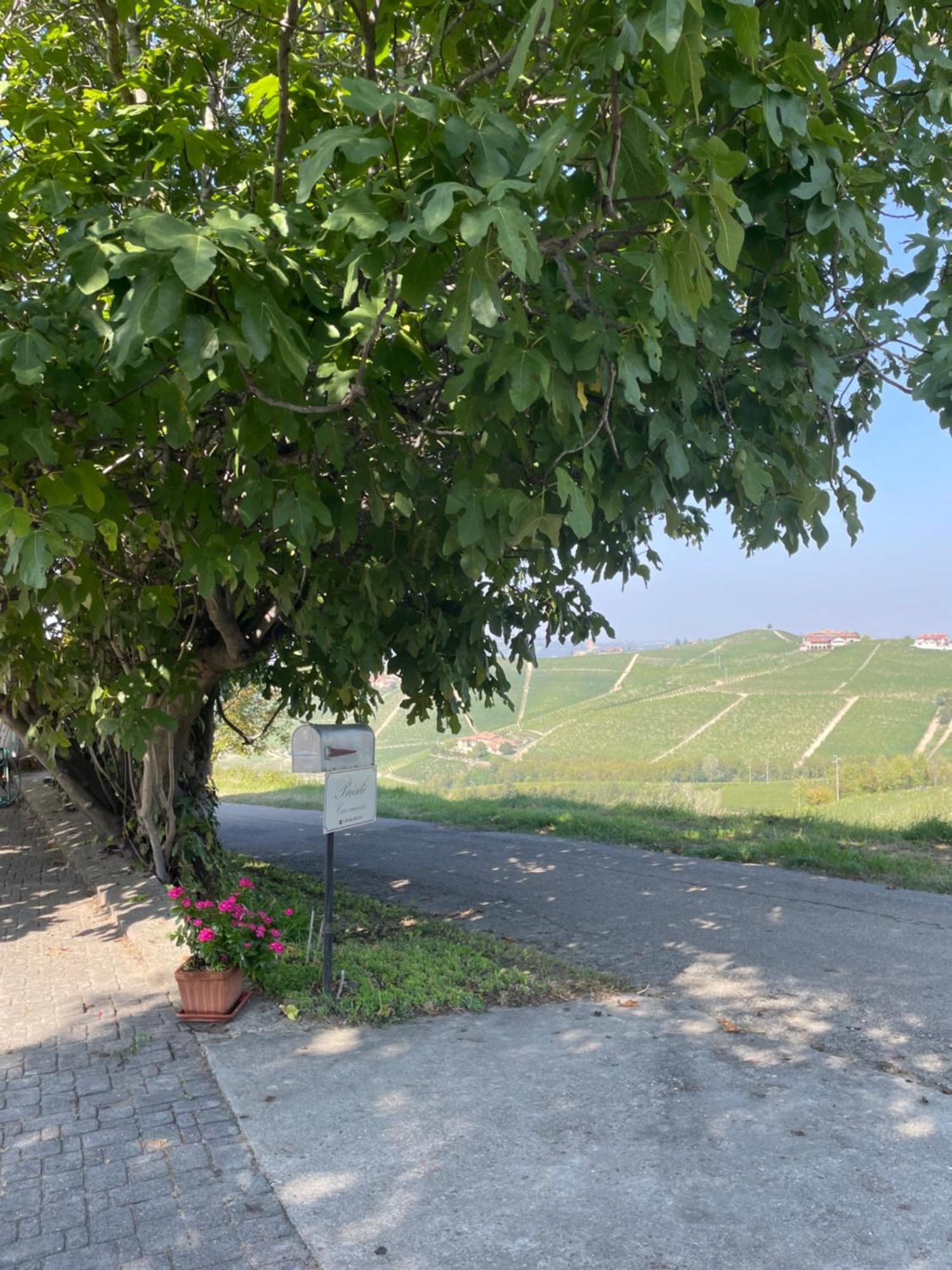 Brisile Casavacanze Barbaresco Exterior foto